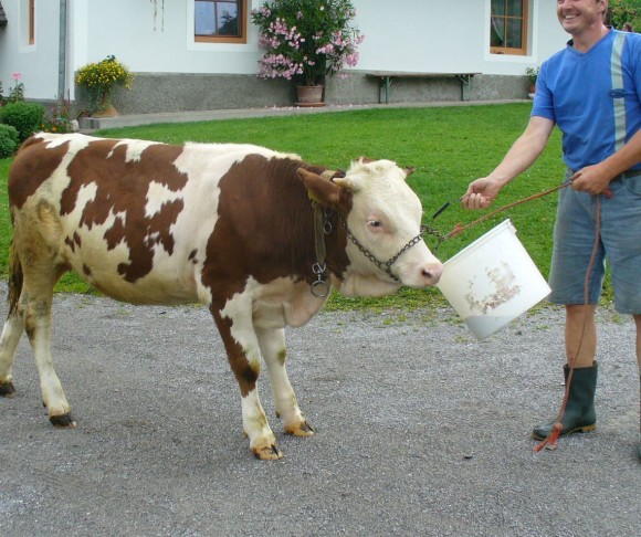 Jetzt brauch ich erstmal eine Pause.... - © www.joggelehof.at