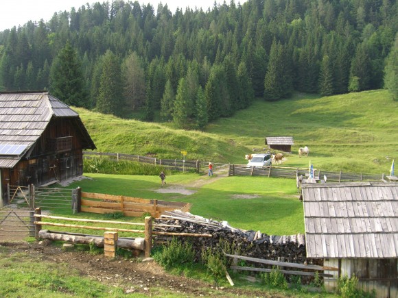 Wandern - © www.joggelehof.at Wandern - © www.joggelehof.at