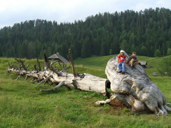 Wandern - © www.joggelehof.at