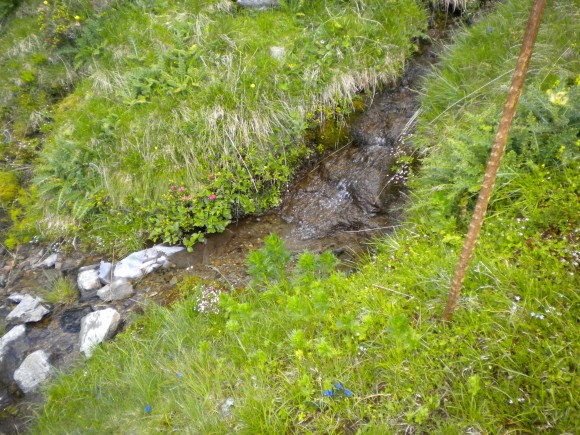 Wandern - © www.joggelehof.at Wandern - © www.joggelehof.at